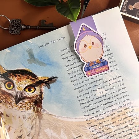 فاصلة بومة الساحرة