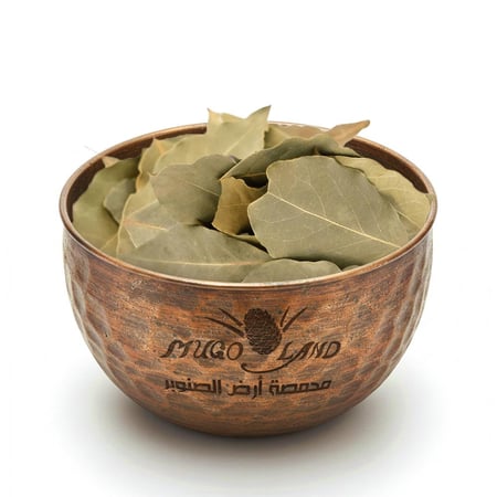 ورق غار اصلي