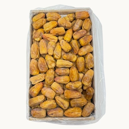 كرتون تمر رشودية بانوراما