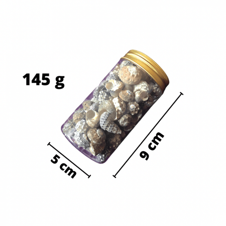 قواقع بحر حلزونيه صناعي لاعمال الريزن والفنيه