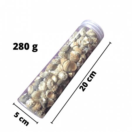 قواقع بحر حلزونيه صناعي لاعمال الريزن والفنيه