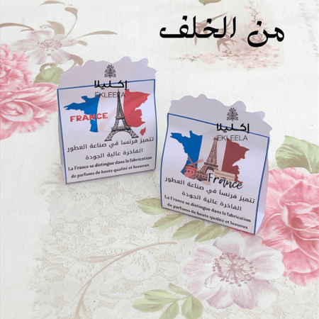 توزيعات بثيم ورقي عن فرنسا مع تعبيه ( 12 قطعه )