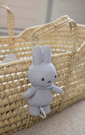 الارنب Miffy الوردي - موسيقى