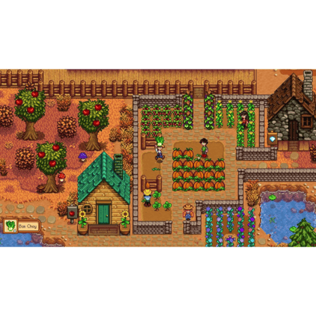 Stardew Valley