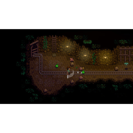 Stardew Valley
