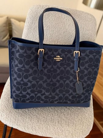 COACH MOLY 29cm