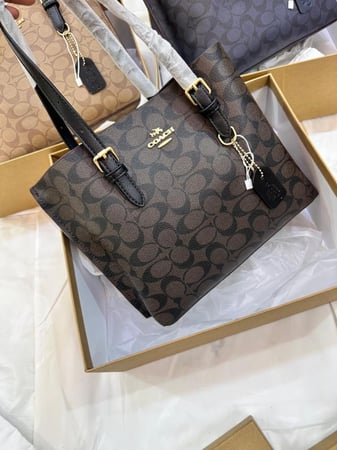 COACH MOLY 25