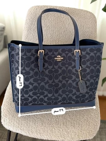 COACH MOLY 29cm