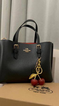 COACH MOLY 25 RED