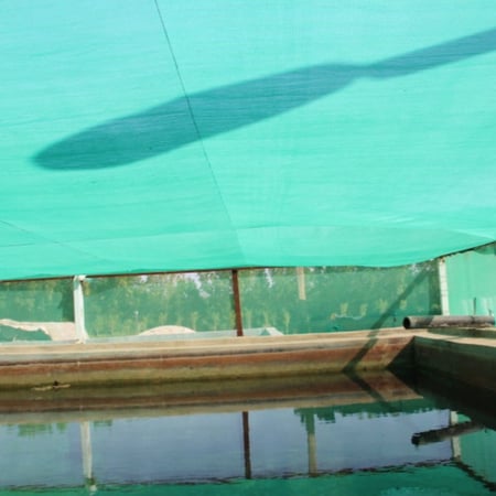 شبك الجزيرة 3×50×60%