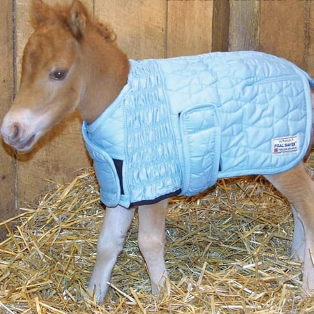 FOAL SAVER