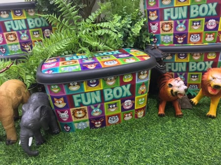 صندوق عالم الادغال