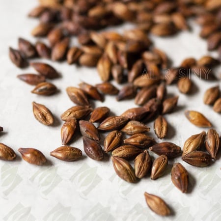 قهوة شعير بلدي علبة 450جرام