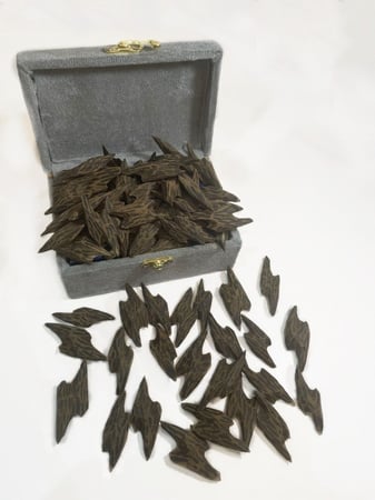 عود تايقر كمبودي ملكي وقية