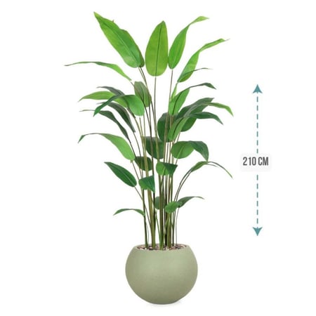 شجر ورق عصفور الجنة حوض فيبر ارتفاع 210 سم : 1631-540