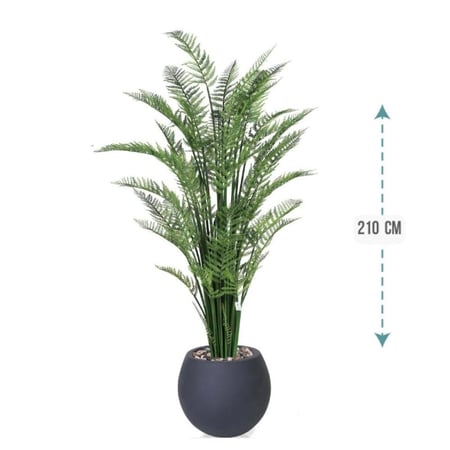 شجر نخل اريكا حوض فيبر 210 سم : 2720-514