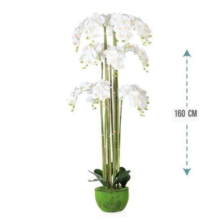 شجر ورد اوركيد 160 سم : 490