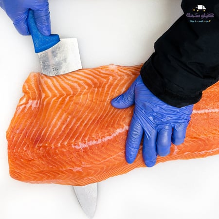 سمك سالمون وسط - Medium Salmon