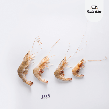 روبيان كبير بلدي طازج – توصيل سريع للرياض والشرقية