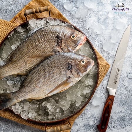 سمك عريضي - Shom