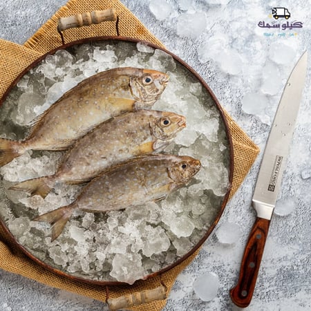 سمك صافي  - Safi