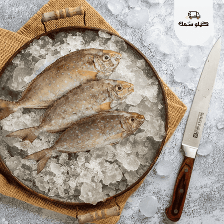 سمك صافي طازج من الخليج العربي
