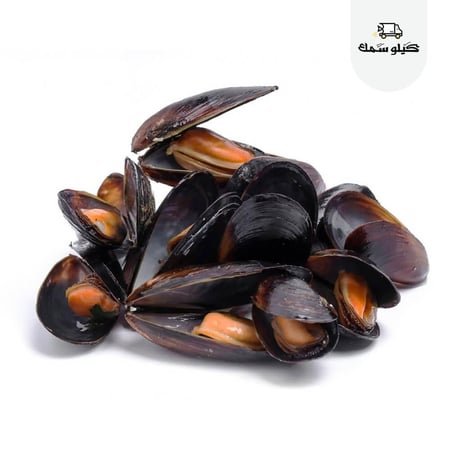 محار مجمد كامل تشيلي جاهز للطهي Black Mussels