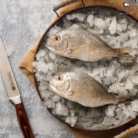 سمك قرقفان -Gurgfan