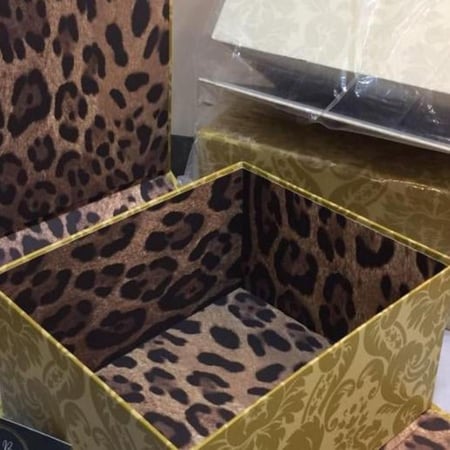 علبه و كيس دولتشي اند غبانا الاصلي | ذهبي