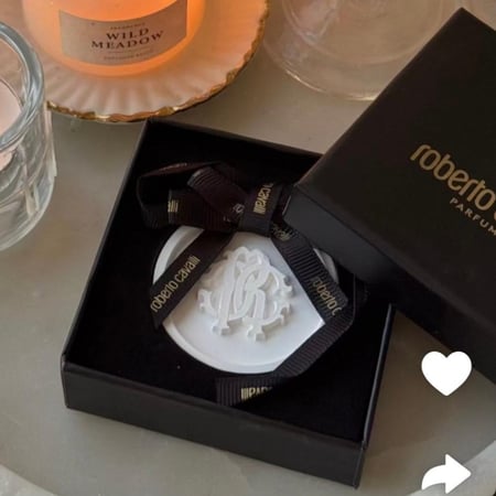10 علب كفالي الاصليه الفخمه تحتوي قطعه معطرة فواحة (روبيرتو كفالي الاصلي) - تعليقة حجر معطر لسياره و الدواليب