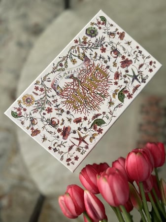 علبة ديور برسوم بارزه موسمية اصلية / علبة مستطيله فارغة