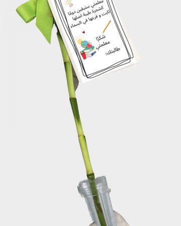 نبته البامبو مع تيوب مائي للحفاظ عليها