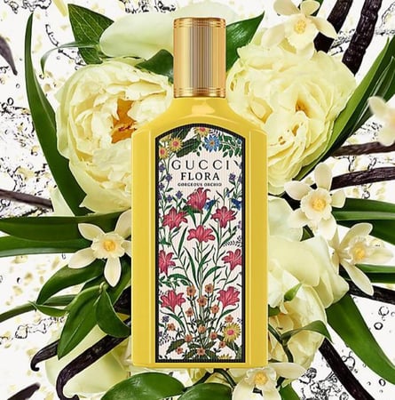 قوتشي فلورا اوركيد