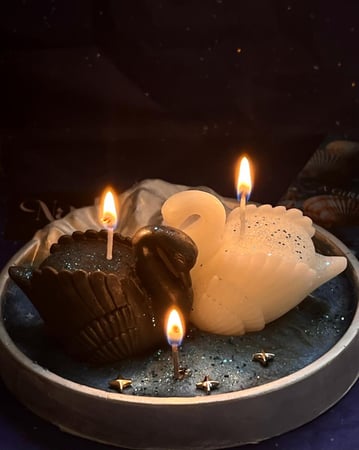 بكج البجع | swans box