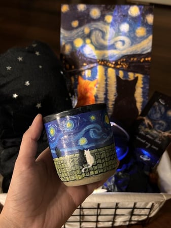 Starry Companions box