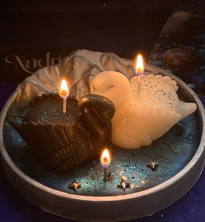 بكج البجع | swans box
