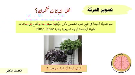 عرض بوربوينت درس تصوير الحركة (حصة واحدة)