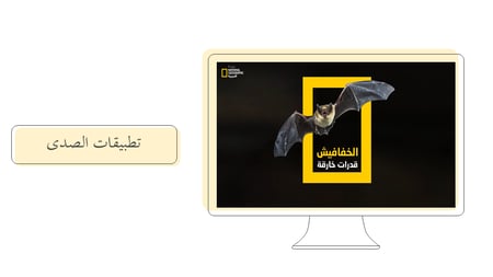 عرض بوربوينت خصائص الصوت والكشف عنه  (حصتين)