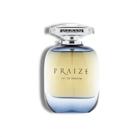 عطر بريز رجالي 100 مل