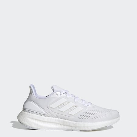 PUREBOOST 22