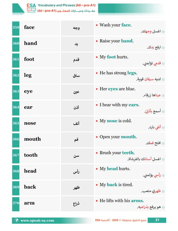 كتاب التأسيس المطلق (A0 / A1) - تأسيس