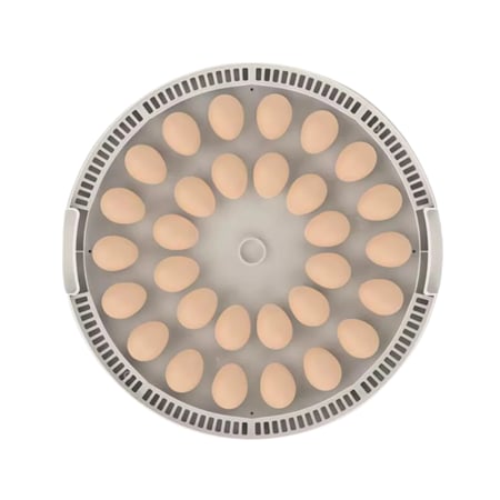 فقاسة بيض 30 بيضة أوتوماتيكية – تقليب تدحرجي ذكي وتحكم كامل