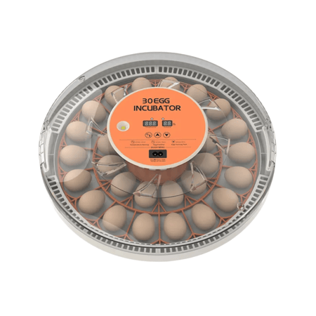 فقاسة بيض 30 بيضة أوتوماتيكية – تقليب تدحرجي ذكي وتحكم كامل