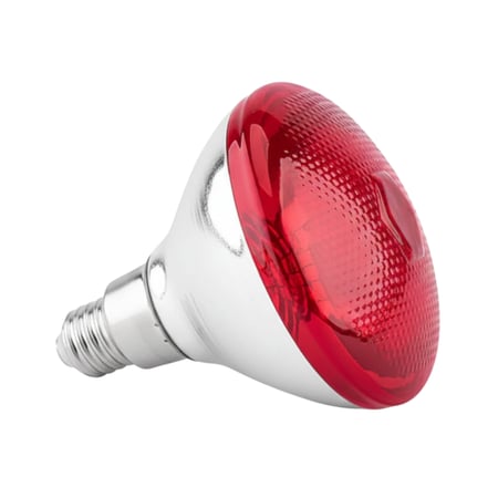 لمبة حرارية للطيور أشعة حمراء 100 واط جودة عالية