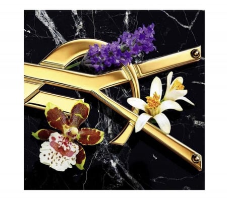 ليبر سان لوران إنتنس