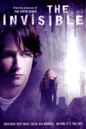 THE INVISIBLE