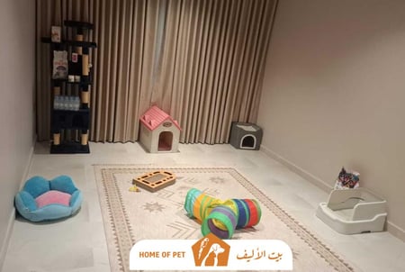 فندقة قطط بجدة