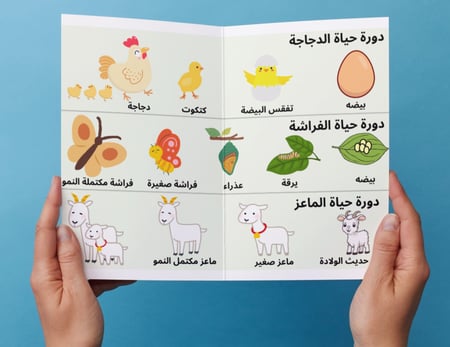 مطوية دورة حياة الحيوانات