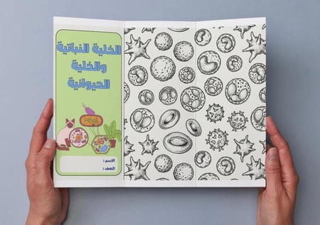 ‎مطوية الخلية النباتية والخلية الحيوانية - سادس