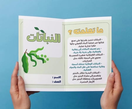 ‎مطوية النباتات ثاني متوسط